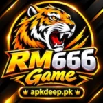 RM666 Game
