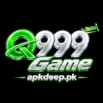 Q999 Game